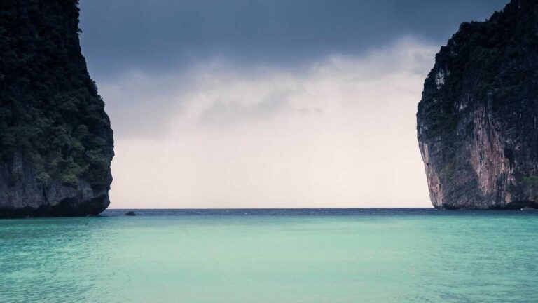 How To Use Cricbet99 Vip Site For Live Gaming?